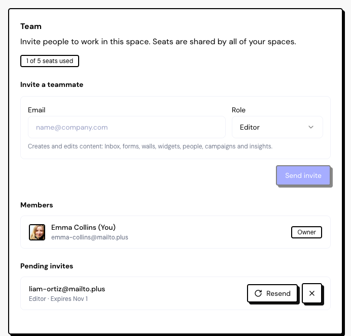 The Team tab with the seats badge, the Invite a teammate block, a pending invitation and the Members list.